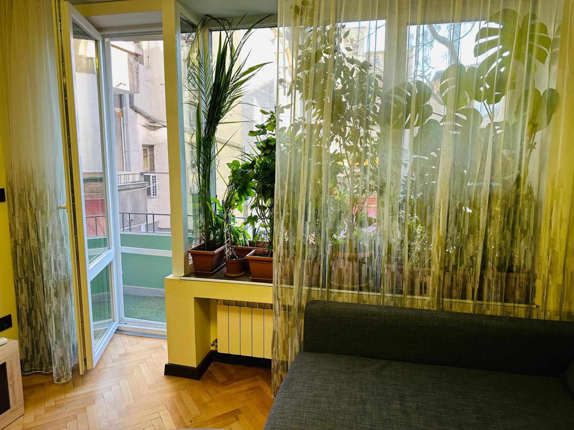 Luxury Oasis In Absolute Center Of Sofia Διαμέρισμα Εξωτερικό φωτογραφία